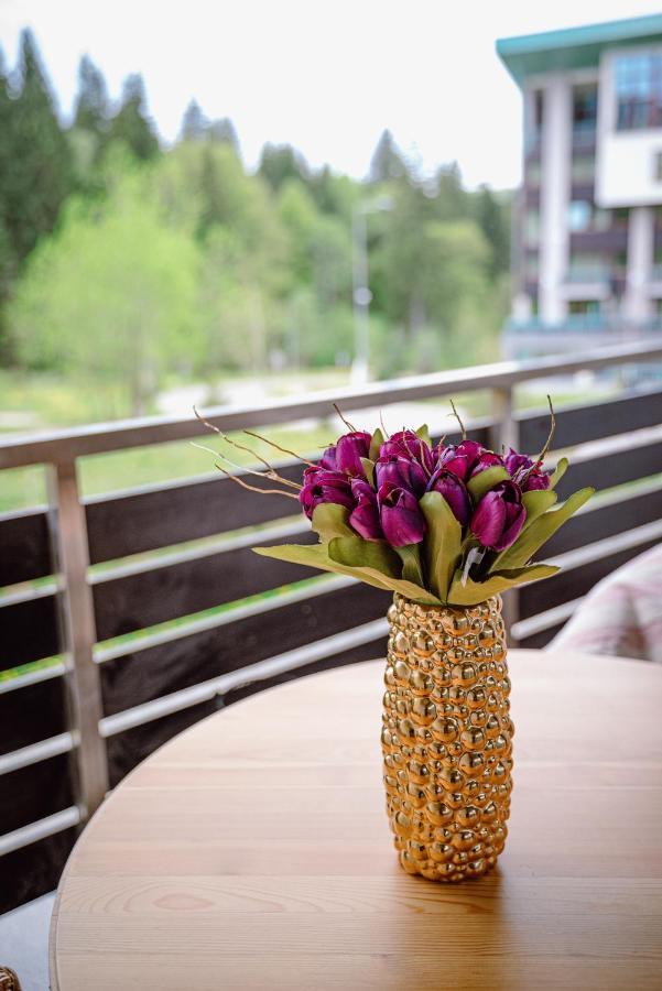 Silver Mountain Resort & Spa 포이아나브라소프 외부 사진